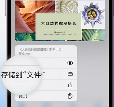 凤城apple维修中心分享iPhone文件应用中存储和找到下载文件
