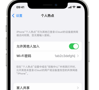 凤城apple服务站点分享iPhone上个人热点丢失了怎么办 