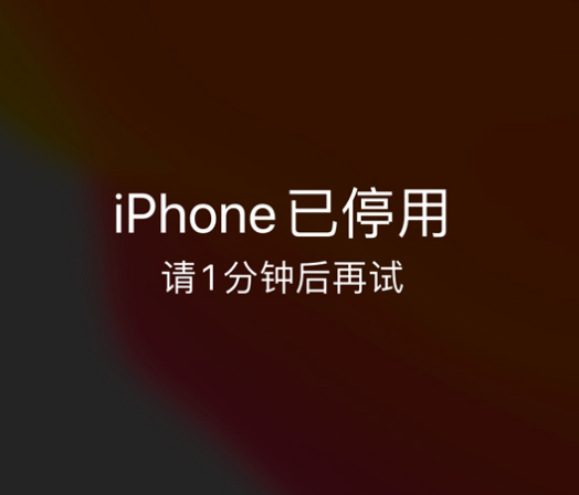 凤城苹果手机维修分享:iPhone 显示“不可用”或“已停用”怎么办？还能保留数据吗？ 