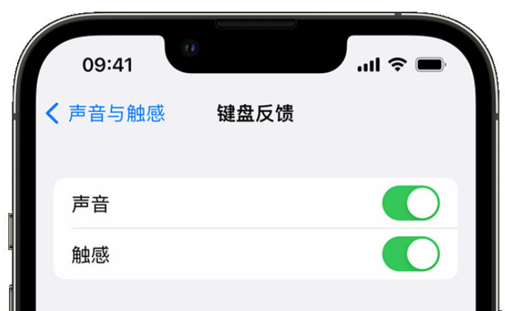 凤城苹果手机维修分享iPhone 14触感键盘使用方法 