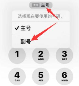 凤城苹果14维修店分享iPhone 14 Pro Max使用副卡打电话的方法 