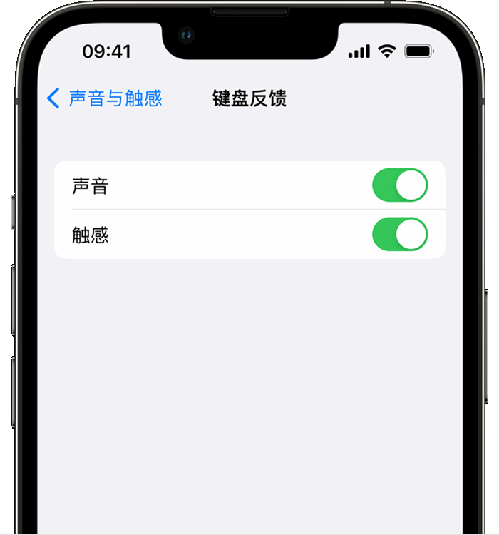 凤城苹果14维修分享iPhone 14 系列机型如何开启键盘声音或触感反馈 