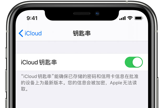 凤城苹果手机维修分享在 iPhone 上开启 iCloud 钥匙串之后会储存哪些信息 