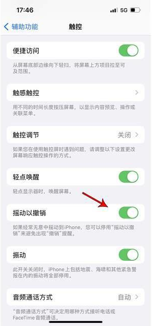 凤城苹果手机维修分享iPhone手机如何设置摇一摇删除文字 