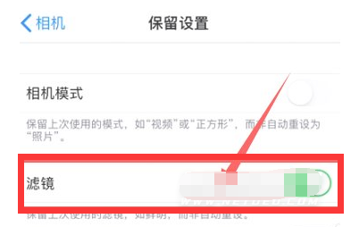 凤城苹果13维修分享iPhone13拍照有绿点是怎么回事 