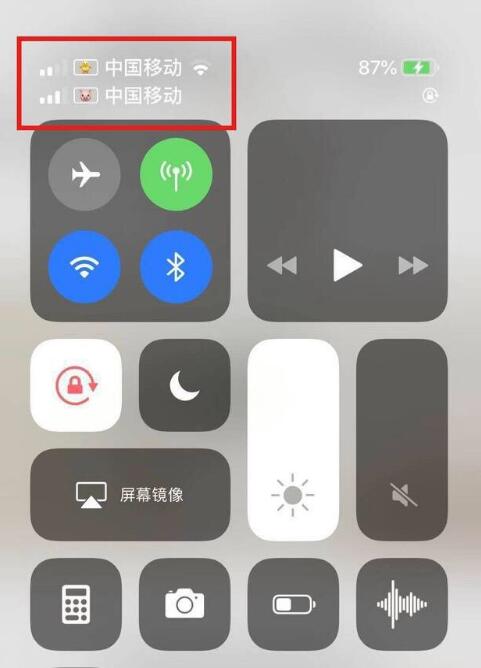 凤城苹果手机维修分享为 iPhone 12 双卡设置标签 