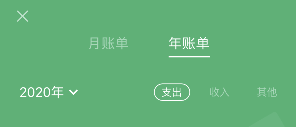 凤城苹果手机维修分享如何在 iPhone 上查看支付宝和微信年支出账单 