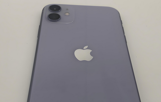 凤城苹果11系统维修分享iPhone11手机系统崩溃无法开机如何解决 