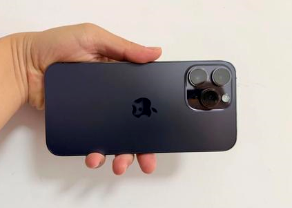 凤城苹果维修点分享iPhone 14 Pro Max黑屏少见故障盘点 